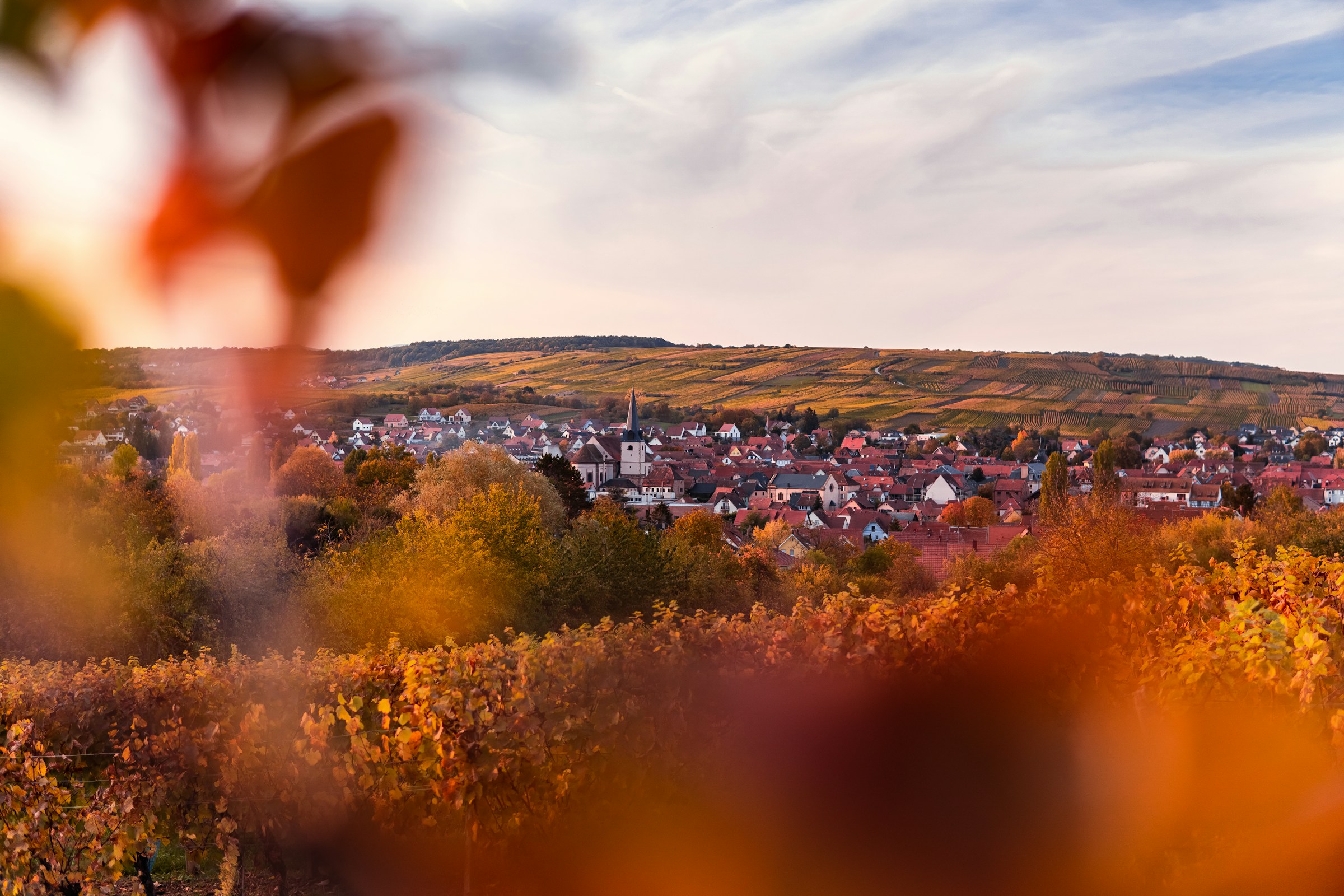 Paysage champagne